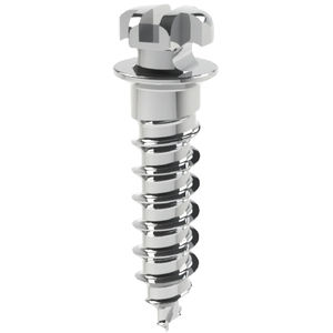 Mini-Implantat / Titan