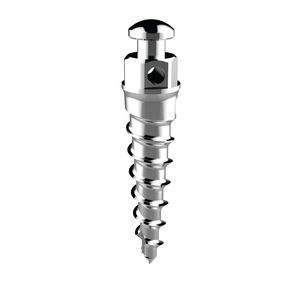 Mini-Implantat / Titan