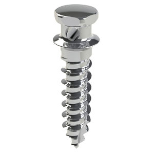 Mini-Implantat / Titan
