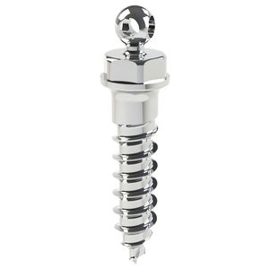 Mini-Implantat / Titan
