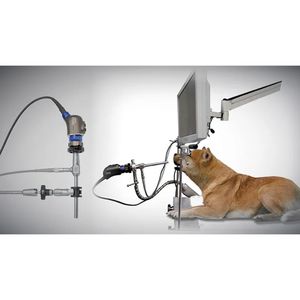 Kamerakopf für Veterinärmedizin 1