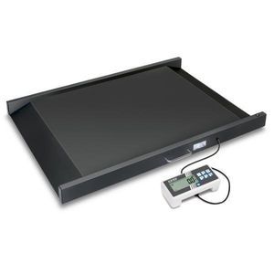 elektronische Plattformwaage