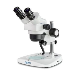 optisches Stereomikroskop