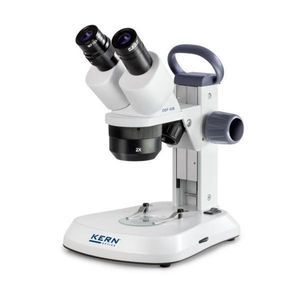 optisches Stereomikroskop