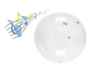 großer Pilatesball 1