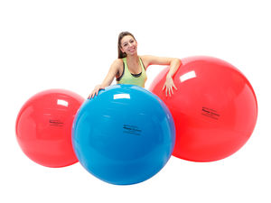 großer Pilatesball 1