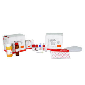 Testkit für Infektionskrankheiten