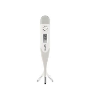 digitales Thermometer