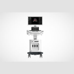 plattformmontiertes Ultraschallgerät 1