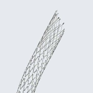 Stent / Arteria iliaca