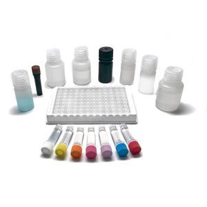 Nahrungsmittelintoleranz-Testkit 1
