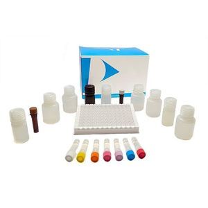 Nahrungsmittelintoleranz-Testkit 1