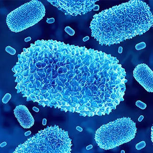 Mpox-Testkit 1