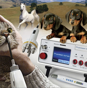 Laser für Veterinär-Akupunktur