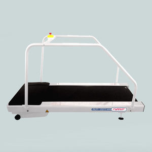 Laufband mit Geländer 1