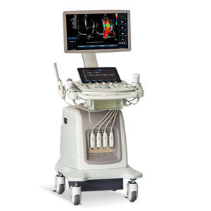 plattformmontiertes Ultraschallgerät