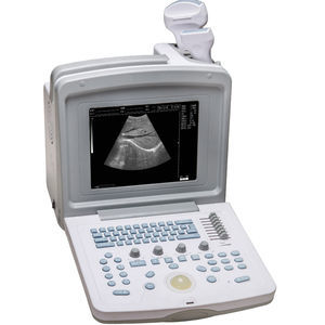 tragbares Ultraschallgerät