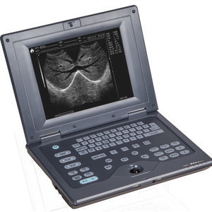 tragbares Ultraschallgerät