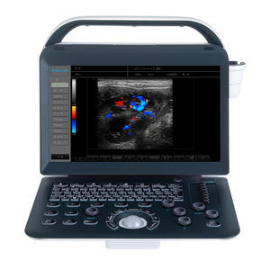 tragbares Ultraschallgerät 1