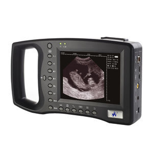 Tierärztliches Ultraschallsystem / Handgerät 1