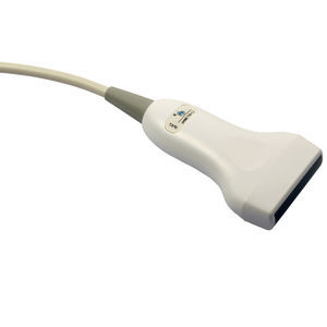 lineare Ultraschallsonde 1