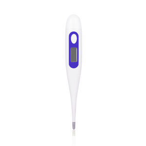 Fieberthermometer 1