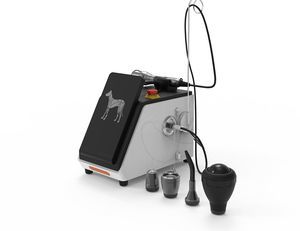 Biostimulationslaser für Veterinärmedizin / zur Rehabilitation 1
