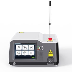 Dioden-Veterinärlaser 1