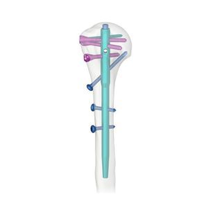 Marknagel / Humerus