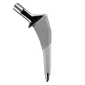 minimalinvasive Hüftschaftprothese 1