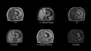 Simulationssoftware 1