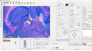medizinische Software 1