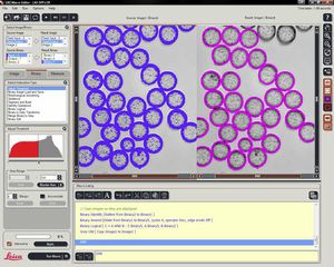 Visualisierungssoftware 1