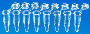 Reagenzglas für PCR