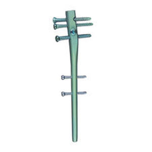 Marknagel / Humerus / proximal