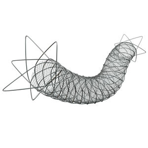 Arteria carotis Stent