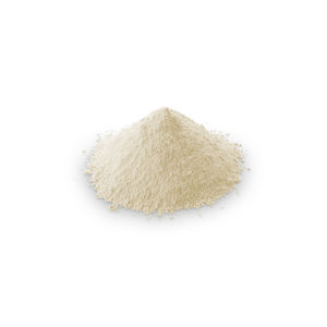 Zahnmedizinisches Material / Stein