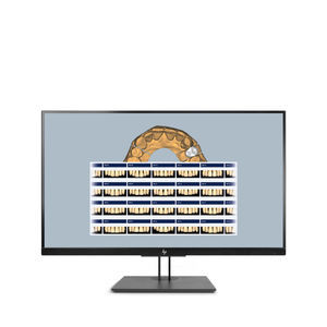 Software-Modul / Projektentwicklung