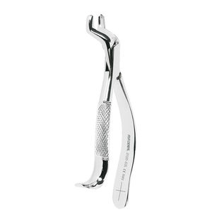 Dentale Extraktionszange / für Molaren 1
