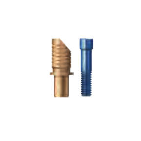 Implantat-Abutment / Titan