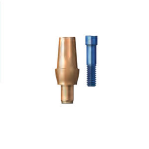 Implantat-Abutment / Titan 1