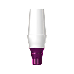 Implantat-Abutment / Titan 1