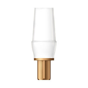 Implantat-Abutment / Titan 1