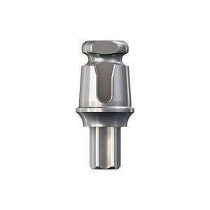 Implantat-Abutment / Titan 1