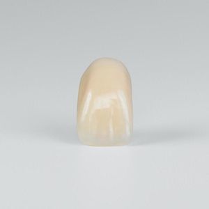 PMMA-Zahnprothese 1
