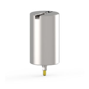 Implantat-Abutment / Titan 1