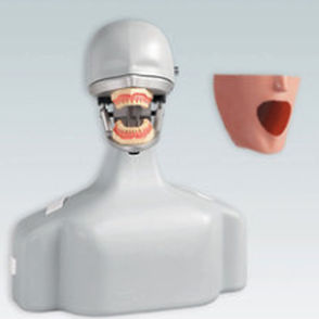 Patientensimulator für Zahnbehandlung 1