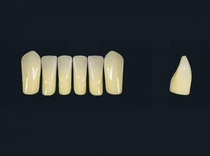 Acrylpolymer-Zahnprothese 1