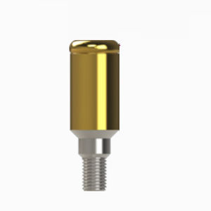 Implantat-Abutment / Titan