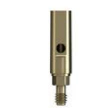 gerades Implantat-Abutment / Titan / inneres Sechseck / Schrauben